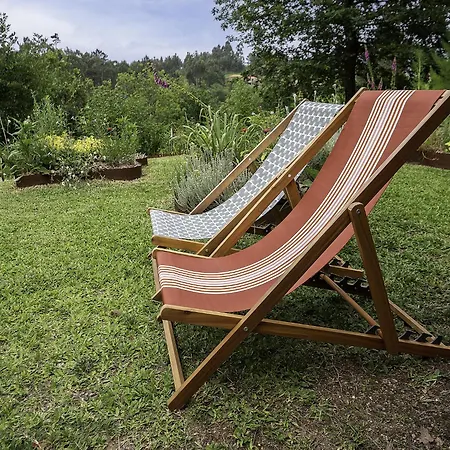 Rio Lima Retreat By Interhome *